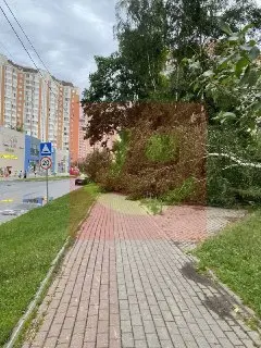 Ураган повалил деревья: тротуары заблокированы