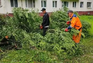 Коммунальные службы Можайского округа активно ликвидируют последствия стихии