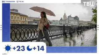 Сильный дождь и гроза ожидаются в Москве сегодня