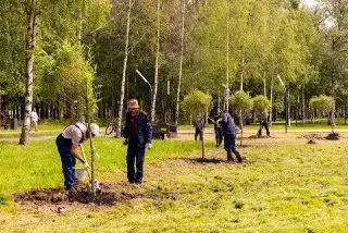 В Лобне высадят 500 новых деревьев в Центральном парке