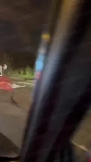 В Балашихе лось попал под колеса автомобиля