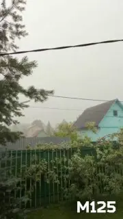 Молния поразила штатив телефона дачницы в Подмосковье