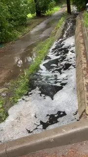 Завод загрязняет водоем: жители Лыткарино бьют тревогу