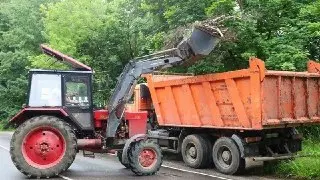 Субботник: Экотропу между Ржавками и Менделеево очистили от сухостоя