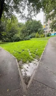 Жители села Жаворонки борются за восстановление газона