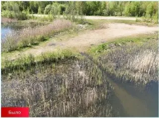 Очистка водоема «Золотые пески» в Коротково завершена