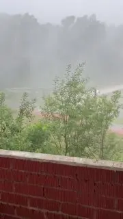 Сильный ветер в Подмосковье: деревья падают и повреждают крыши