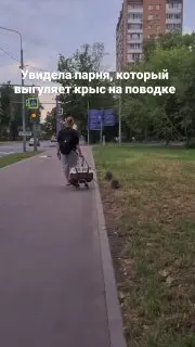 Необычные питомцы: житель выгуливает нутрий на поводке