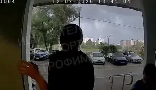 В Богородском деревья упали на автомобили из-за сильного ветра