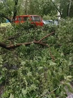 Ураган в Москве: Повреждены Дома и Повалены Деревья