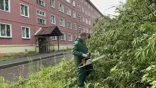 Циклон: 50 бригад и 30 единиц техники работают над восстановлением