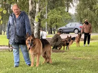 Служебные собаки из Можайска впечатлили зрителей в Бородино