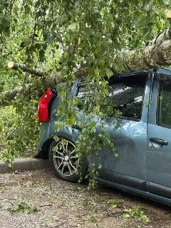 Сильный ветер в Москве: падают деревья и опасность на улицах