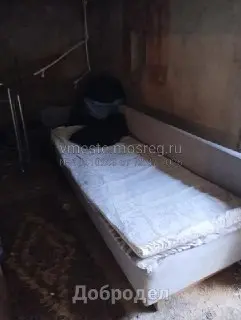 Жители Софьино требуют убрать хлам из подвала дома на Школьной улице