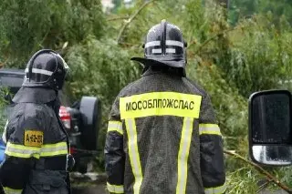 Подмосковье восстанавливается после шторма: 52% осадков за день