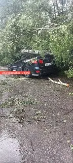 Ураганные ветры и дожди остаются в Клину на два дня