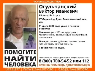 Пожилой мужчина пропал в Подмосковье: ищут добровольцы