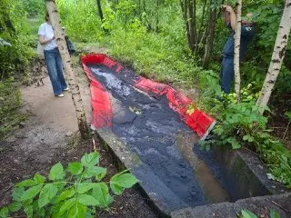 Загрязнение реки Сходни: экологи бьют тревогу
