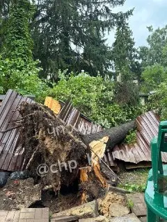 Ураган в Подмосковье: улицы затоплены, деревья падают