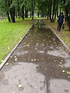Благоустройство привело к «озеру» на бульваре: жители недовольны