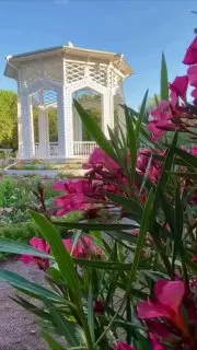 Парк Горького расцвел: летний сад из ярких клумб