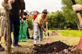 Парк Лобни озеленят: высадят 500 новых деревьев