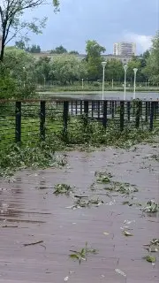 Прогноз погоды: Пушкино ожидает до +23°C с грозами
