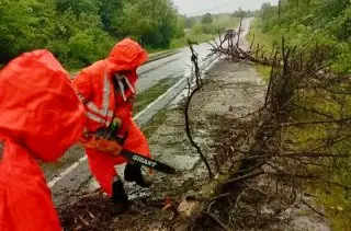 Подмосковье справилось с циклоном: дорожники ликвидировали последствия