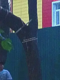 Пропала тарзанка у детского сада: родители ищут аттракцион