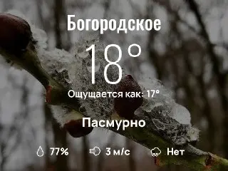 Прогноз погоды: что ожидать в Богородском сегодня