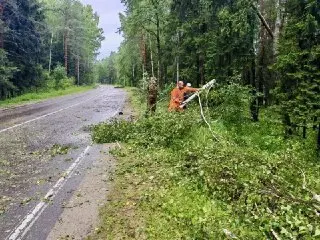 Дорожные службы ликвидировали последствия циклона в области