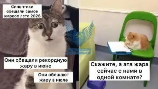 Аномальная жара до +30°C накроет Подольск до конца июля