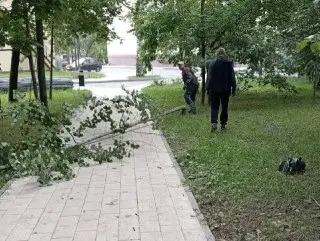 Дубна: Жители сообщают о последствиях непогоды, власти реагируют