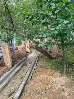 Дерево пострадало при благоустройстве: как помочь растению