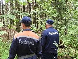 Спасение грибника: женщина сломала ногу в лесу