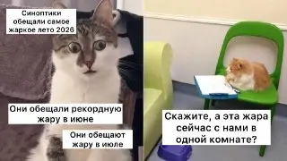 30-градусная жара ожидается в Москве до конца июля