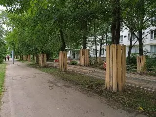 Благоустройство двора: деревья под защитой на Волжском бульваре