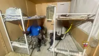 В Новой Москве задержаны организаторы незаконной миграции