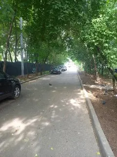 Проблемы с пешеходными дорожками на улице Кошкина после открытия моста