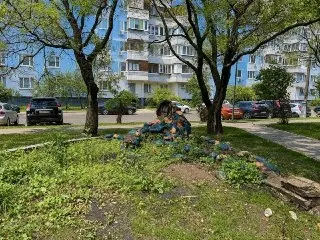 Благоустройство двора на Новомарьинской улице: что ждёт жителей?