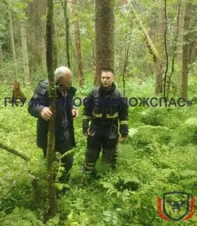 Спасение 85-летнего грибника в Подмосковье: как его нашли