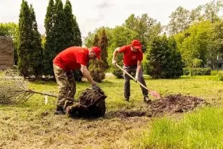 Обновление зеленого фонда: 500 деревьев в Центральном парке Лобни