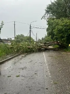 Без света и воды: жители Дмитровского округа требуют восстановления подачи ресурсов