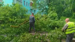 Стихия в Волоколамске: циклон «Бернадетт» оставил после себя хаос