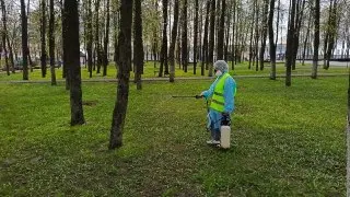 Парк закроют на три дня для обработки от клещей
