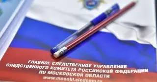 Глава СК РФ контролирует дело о нападении в Реутове
