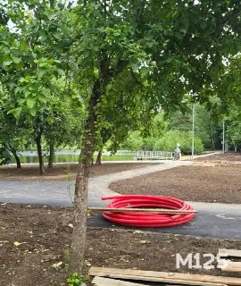 Благоустройство пляжа у Черного озера: что изменится?