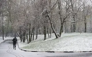 Мокрый снег ожидается в Подмосковье в четверг