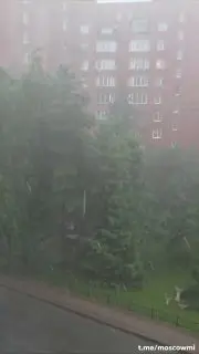 Грозы и ливни в Москве: жёлтый уровень опасности с 12:00 до 18:00