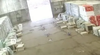 ФСБ предотвратила теракт с FPV-дронами в Подмосковье